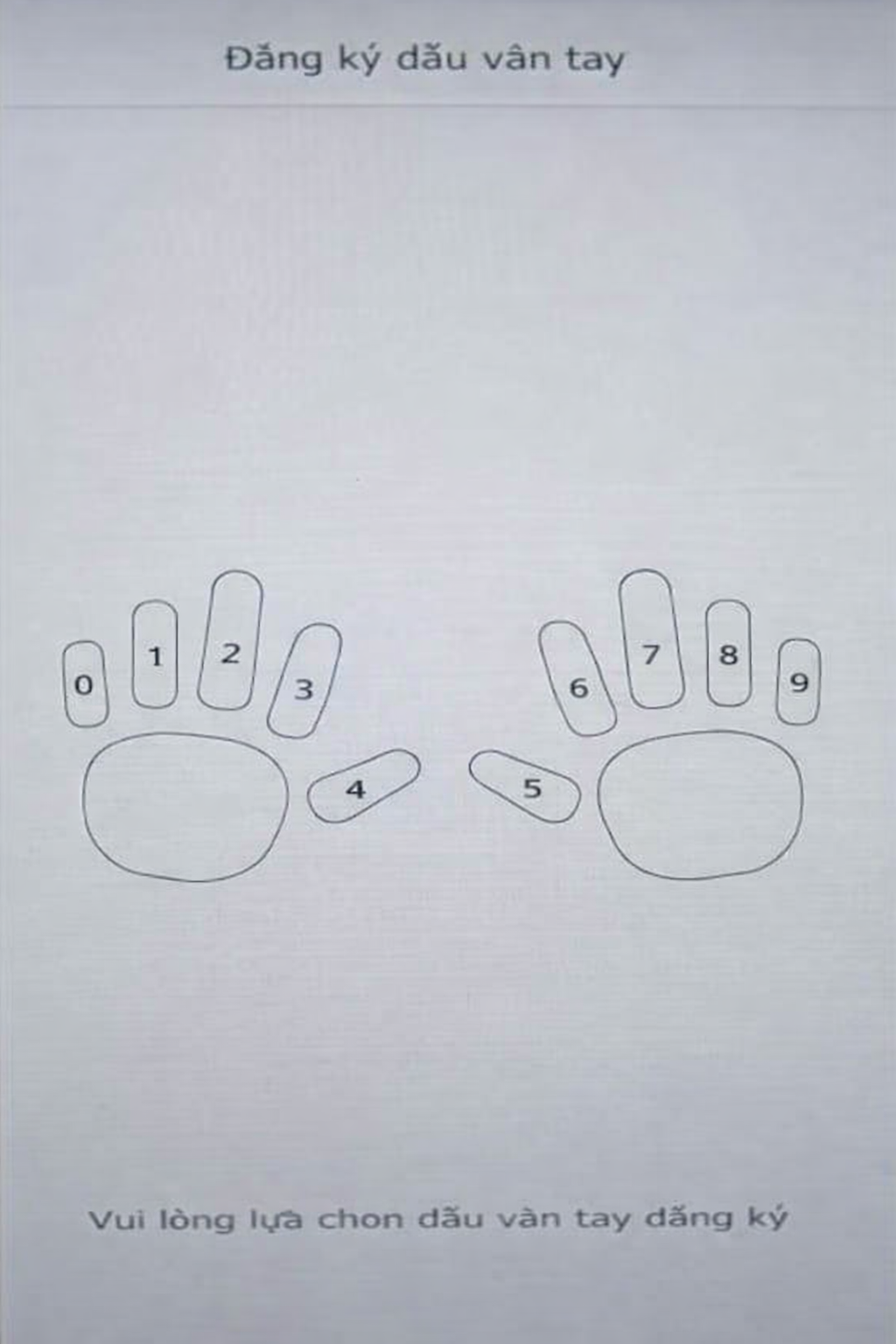 chondauvt.png (1036 KB)